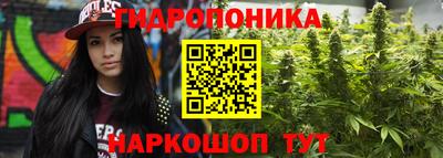 apvp Балашиха