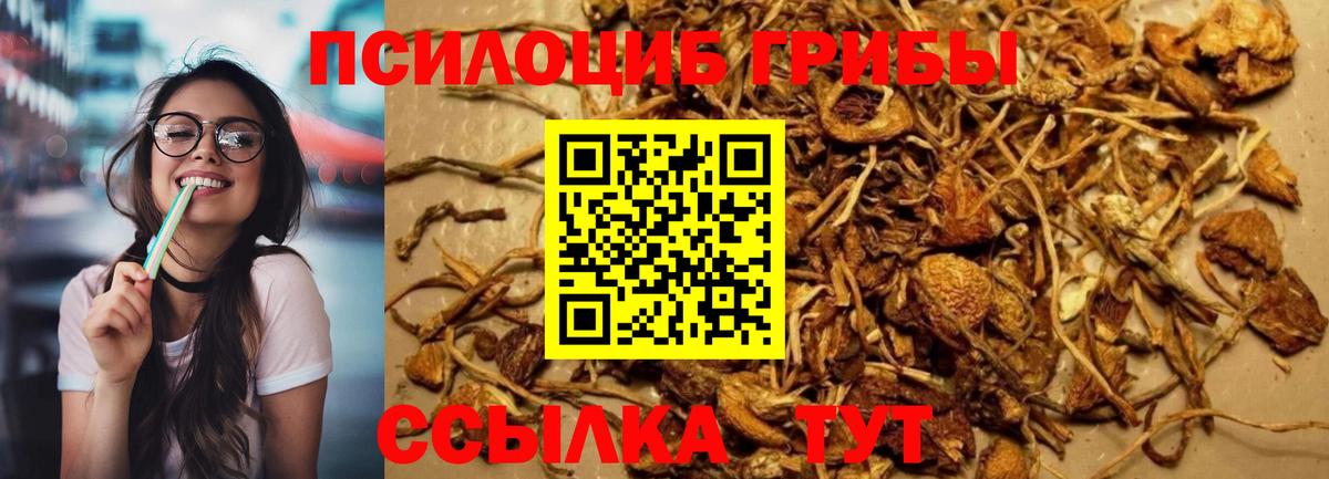 Галлюциногенные грибы MAGIC MUSHROOMS Верхняя Салда