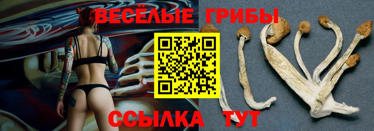 Галлюциногенные грибы Cubensis  Вход с VPN  Галлюциногенные грибы Psilocybine cubensis  цены   Верхняя Салда 